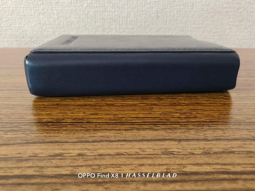 [ケース] Lotoo Paw Gold Touch ケース 若干使用感