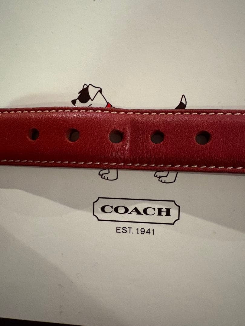 rarayan coach 首輪・リード　オールレザー　レッド